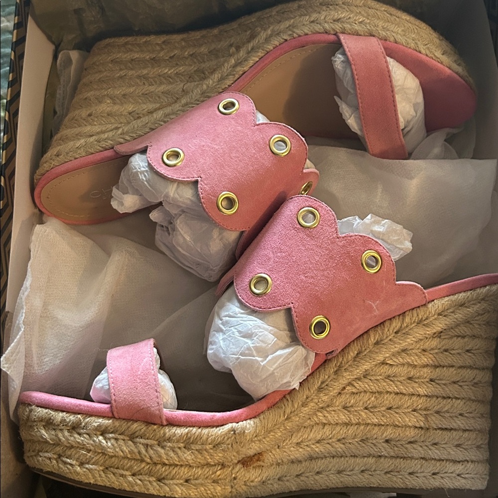 Charles David pink suede espadrille platform